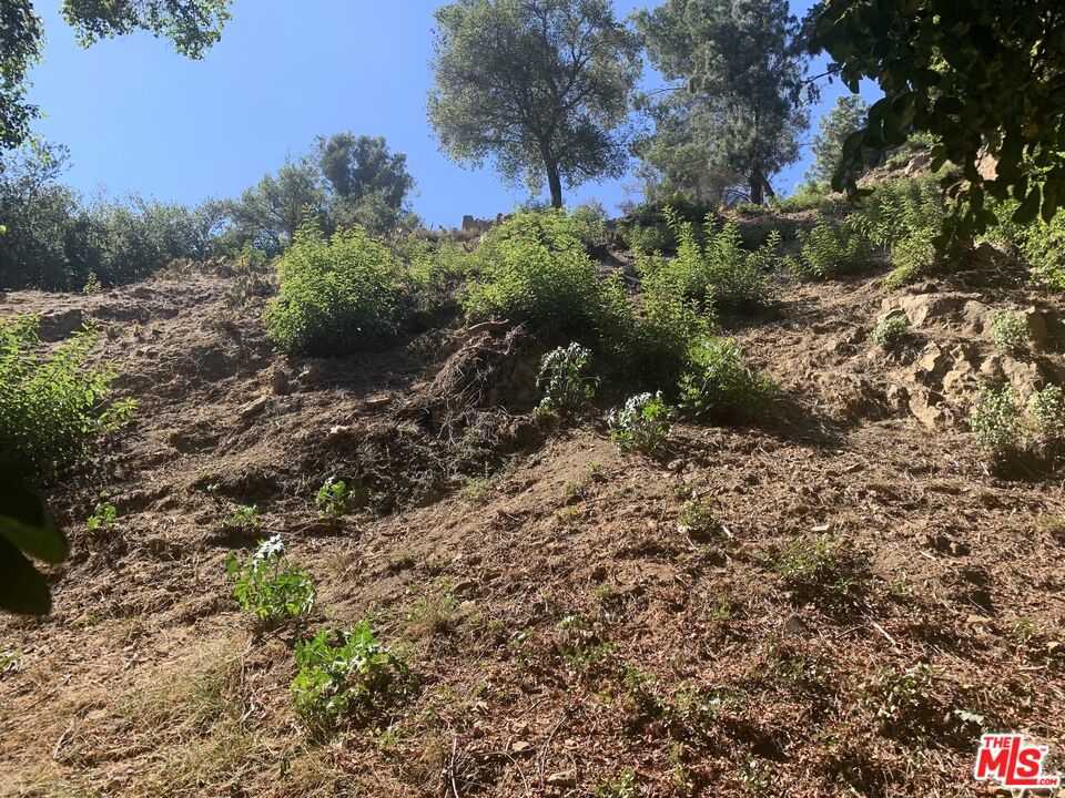 2311 N Beverly Glen Place Property Photo 6