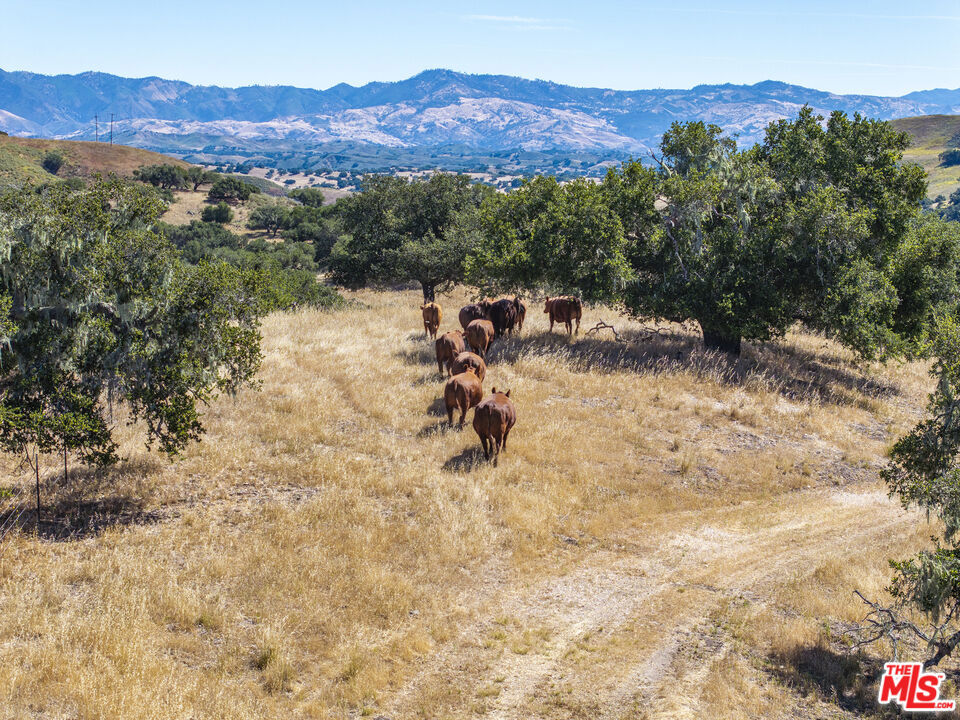 2551 N Hwy 101 Property Photo 47