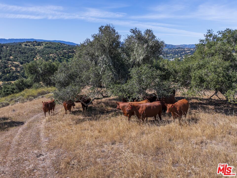 2551 N Hwy 101 Property Photo 48