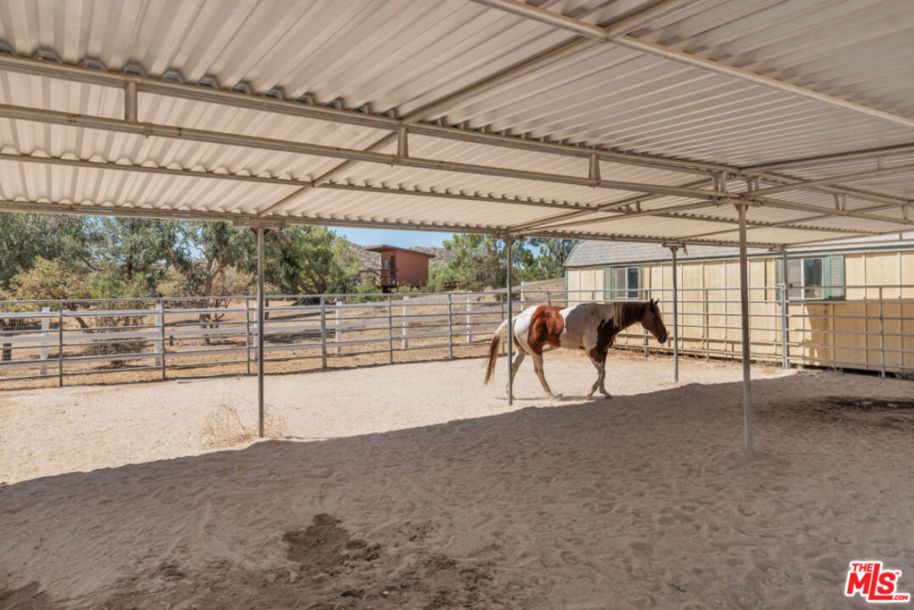 11734 Chisholm Court Property Photo 4