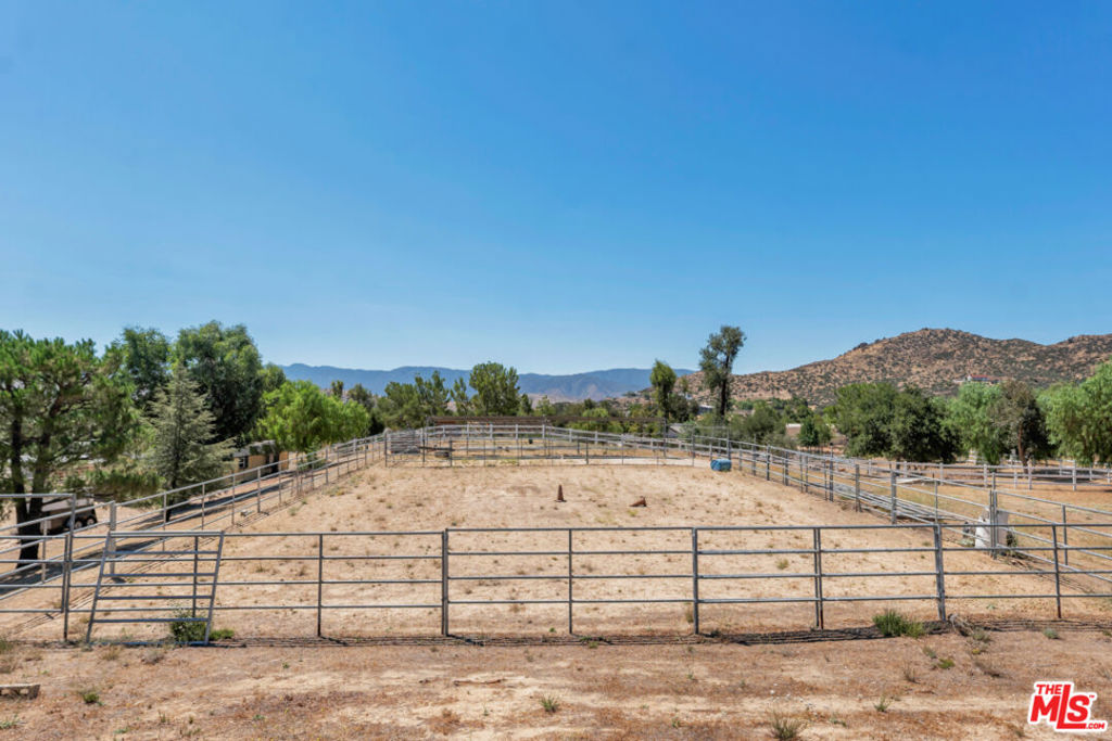 11734 Chisholm Court Property Photo 30