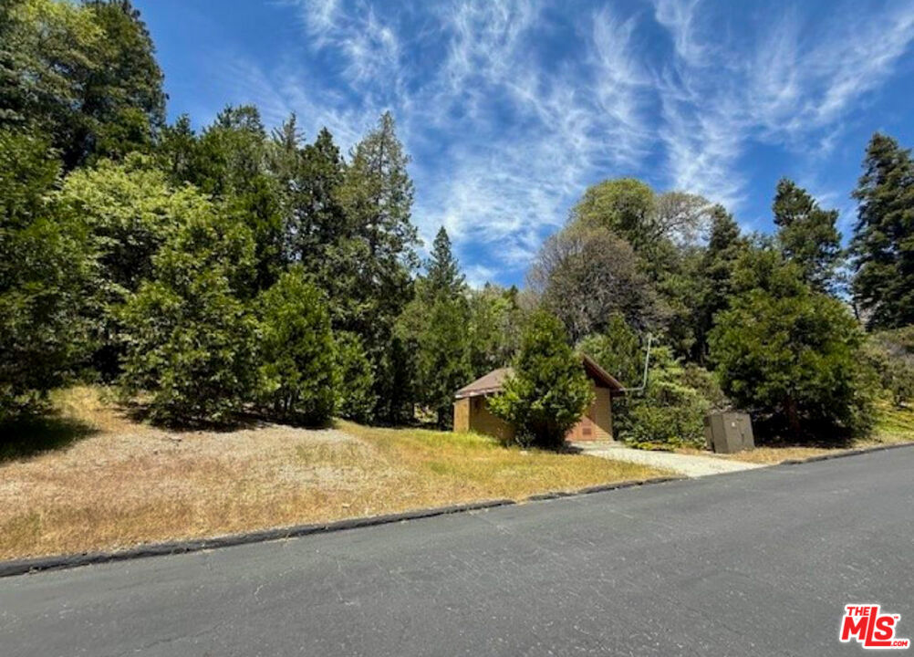 246 Cedar Ridge Drive Property Photo 2
