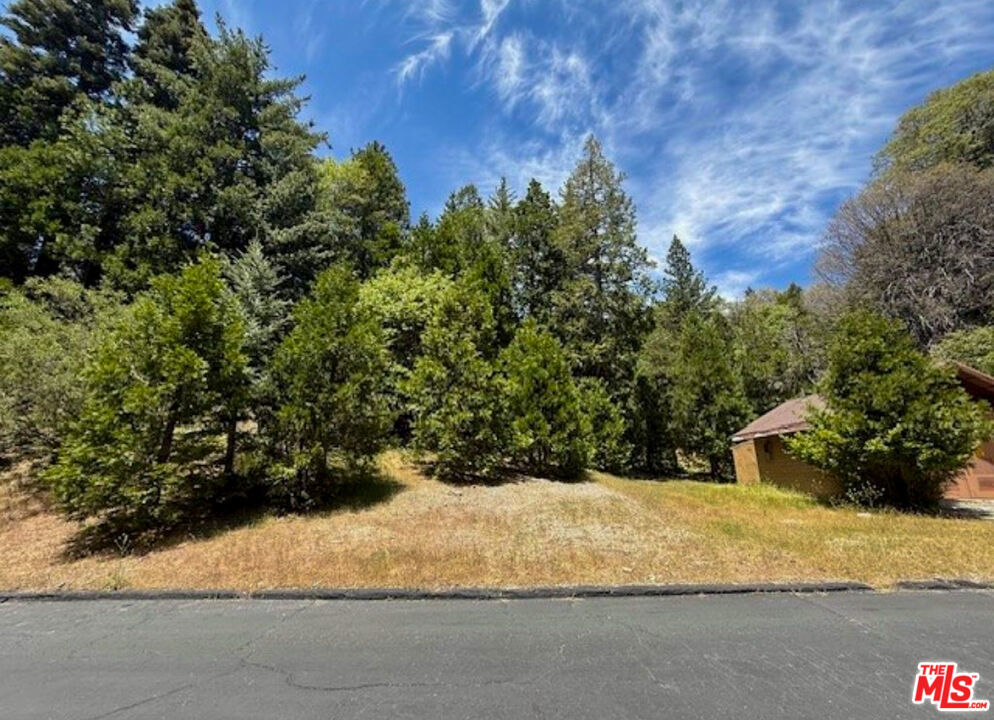 246 Cedar Ridge Drive Property Photo 8