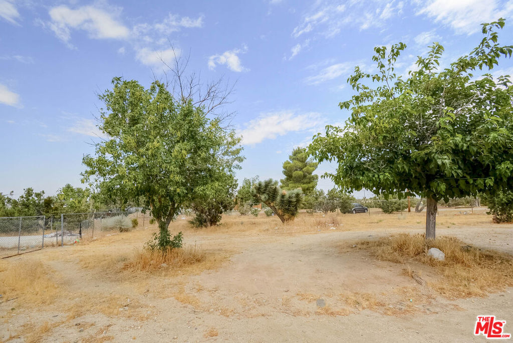 1828 Orum Road Property Photo 32