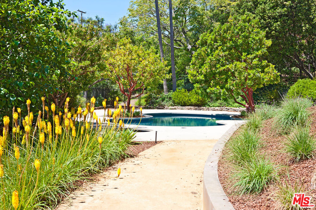 6228 Sycamore Meadows Drive Property Photo 4