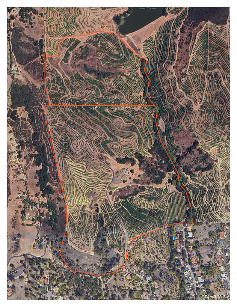 1500 Camino Rio Verde Property Photo 1
