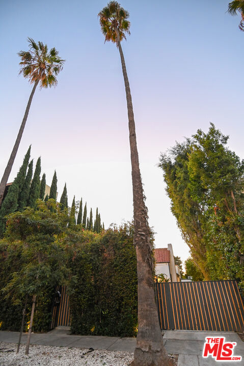 1019 N Orange Grove Avenue Property Photo 36