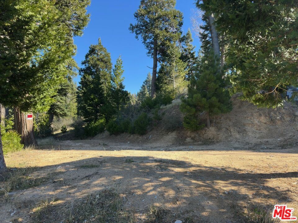 101 Mill Pond Road Property Photo 5