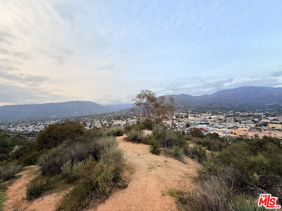 9741 N Estaban Way Property Photo 3