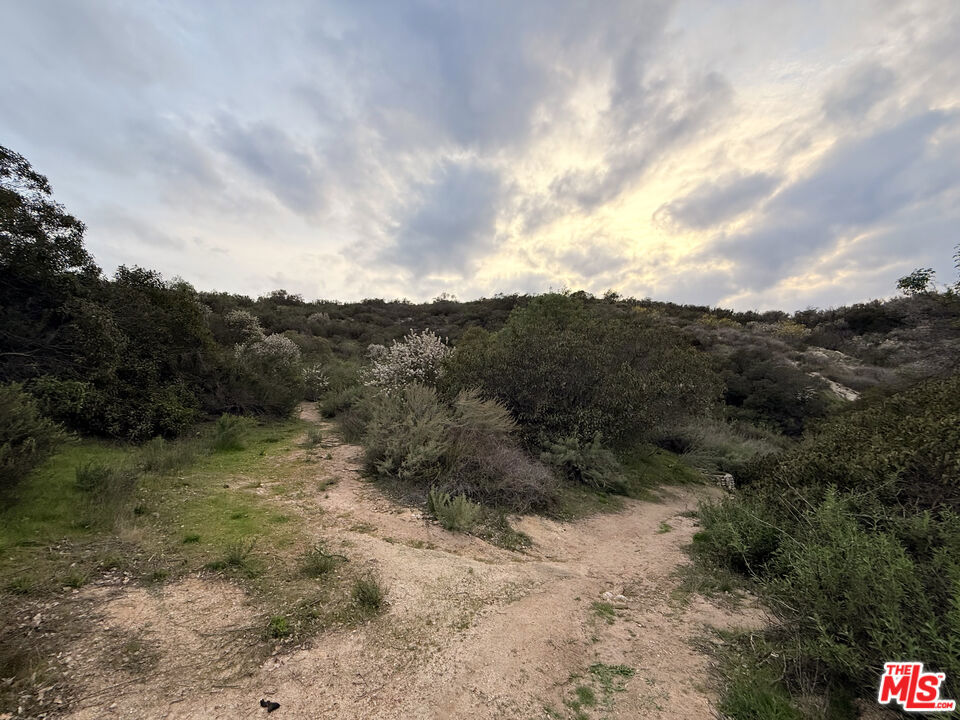 9741 N Estaban Way Property Photo 4