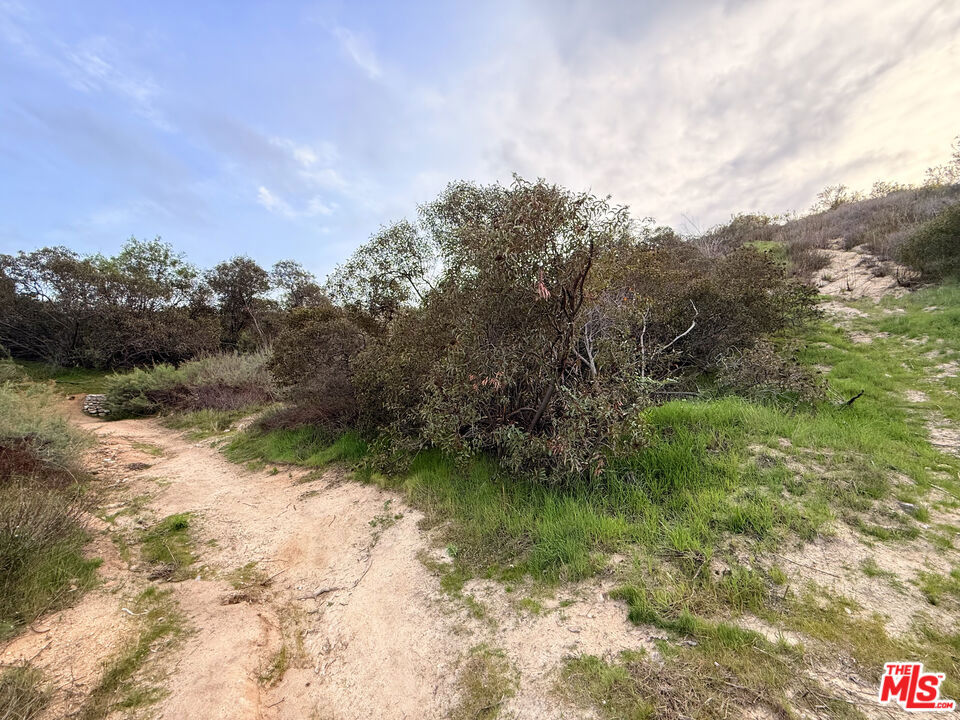 9745 N Estaban Way Property Photo 1