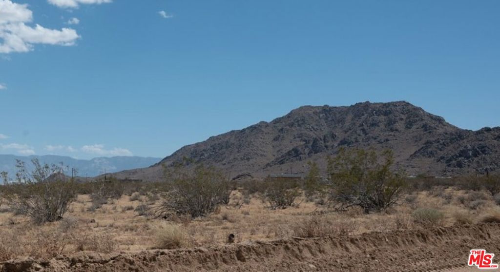 1 Desert Flower Property Photo 1