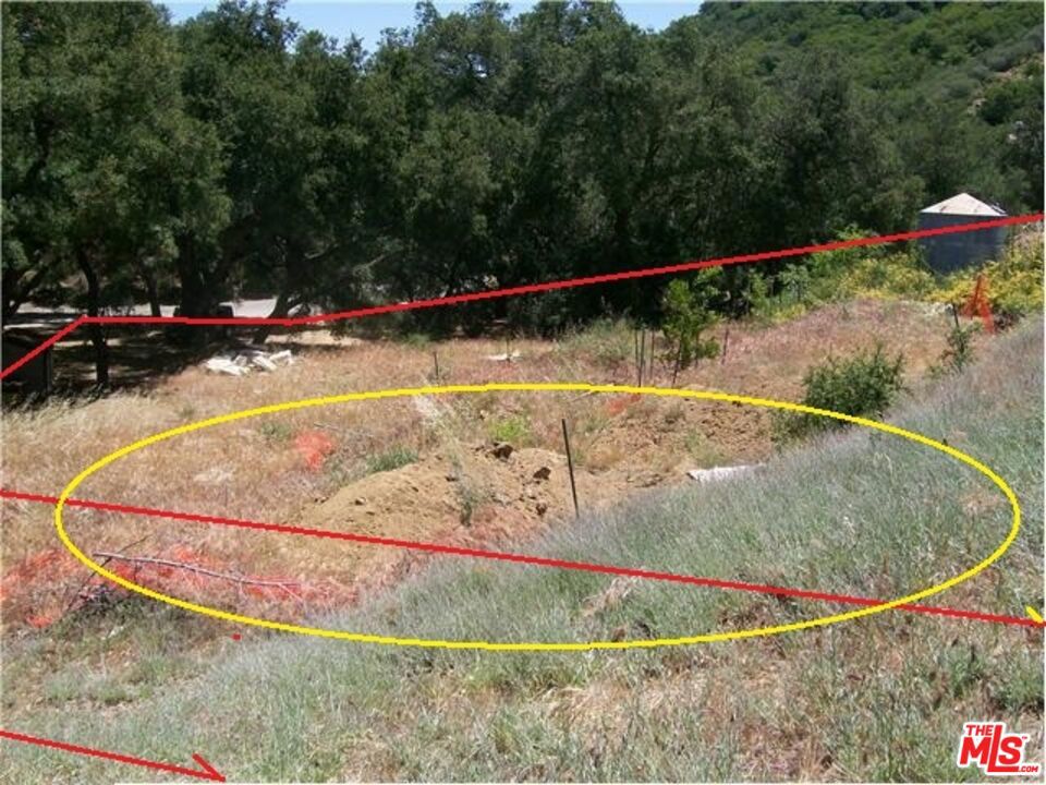 31436 Birdella Property Photo 4