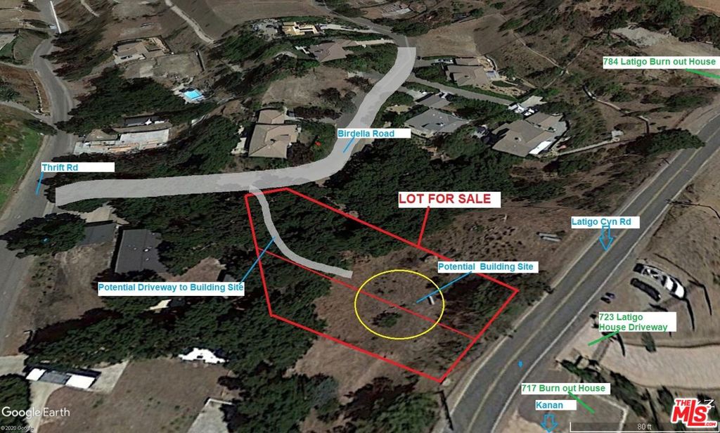 31436 Birdella Property Photo 6