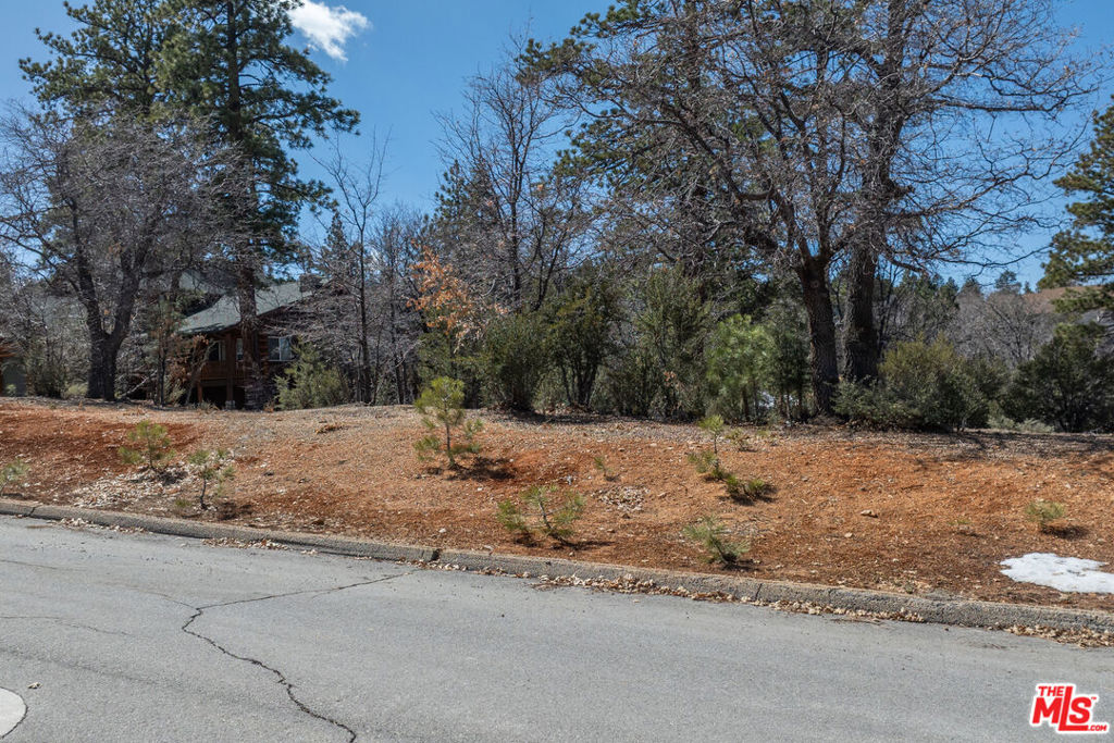 1603 Angels Camp Road Property Photo 8