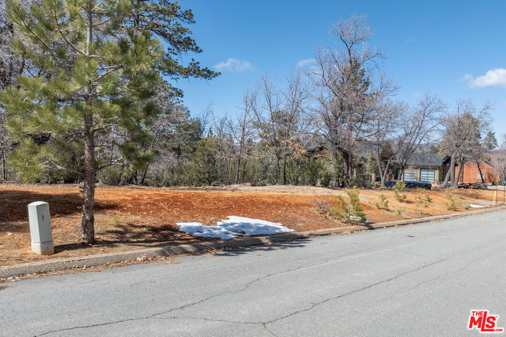 1603 Angels Camp Road Property Photo 9
