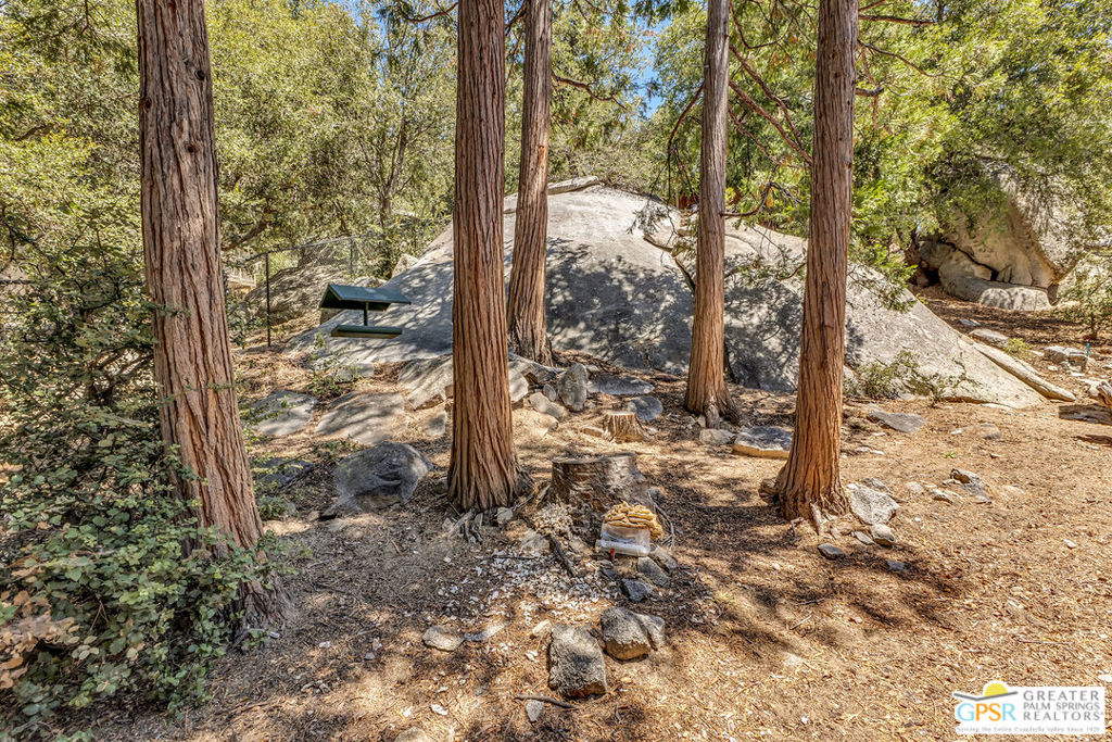 25280 Azalea Drive Property Photo 45