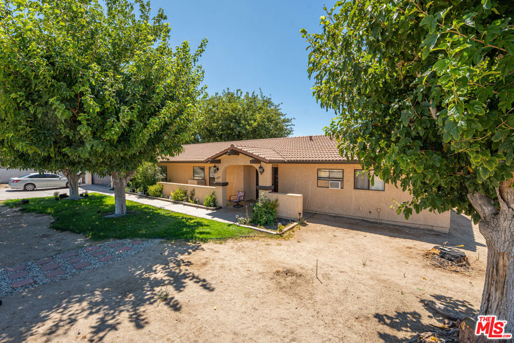35335 89th Street Property Photo 4
