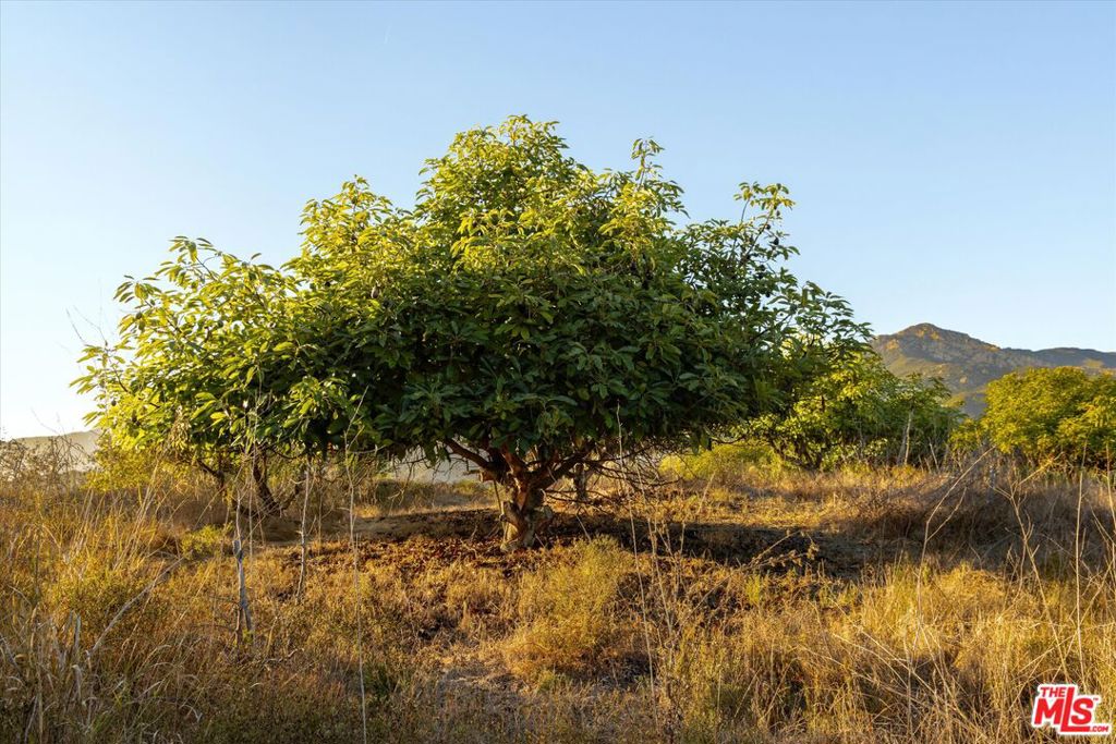 0 E Alamar Property Photo 25