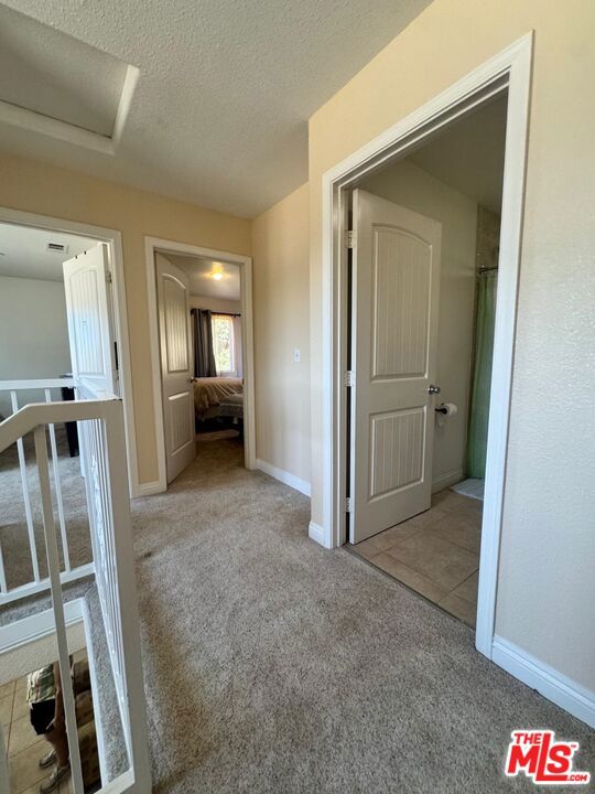 3732 Ruthelen Street Property Photo 3