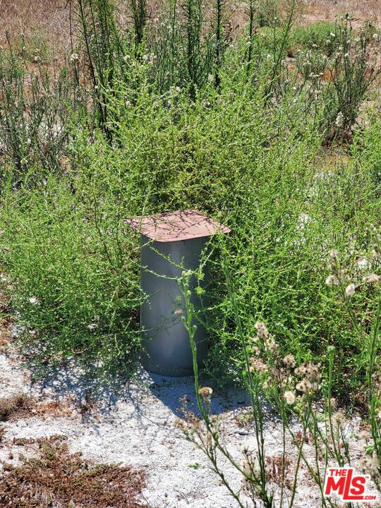 32063 Via Ararat Drive Property Photo 3