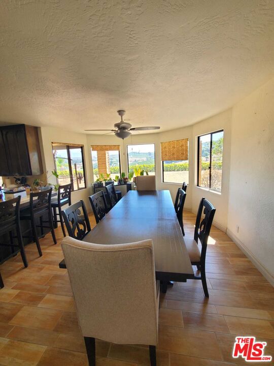 32063 Via Ararat Drive Property Photo 6
