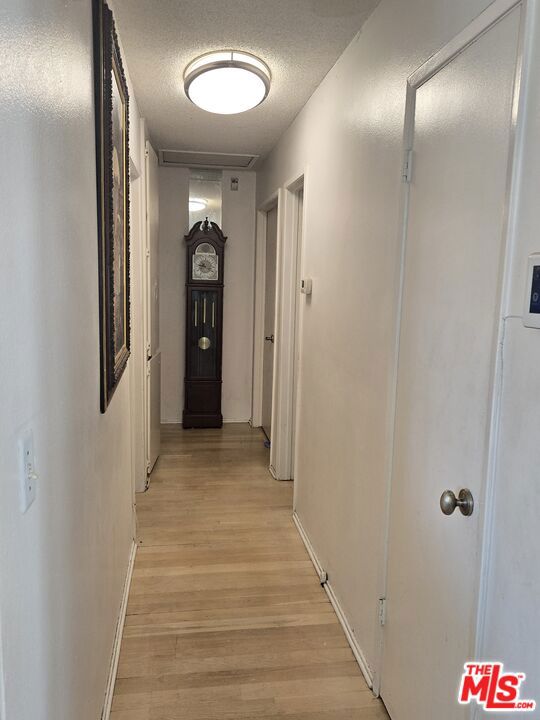 819 E 146th Street Property Photo 8