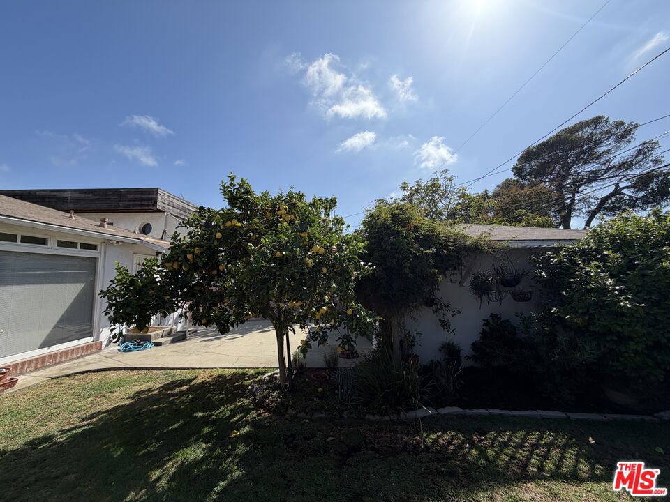12207 Palms Boulevard Property Photo 27