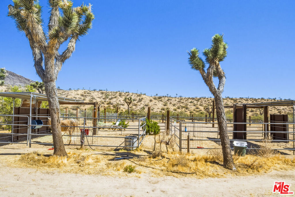 55626 Pipes Canyon Road Property Photo 56