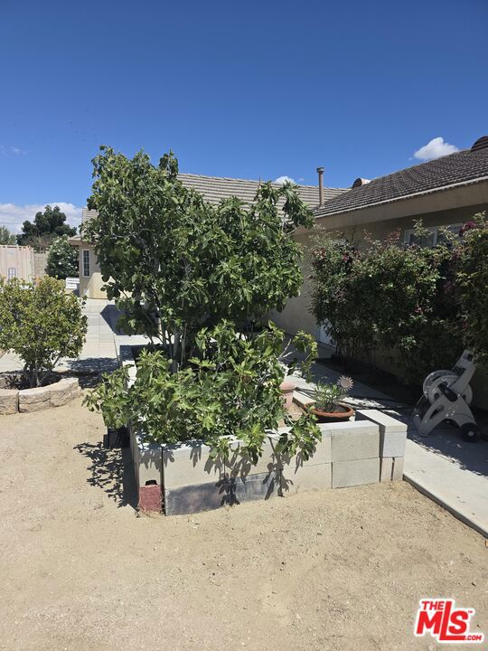 1168 Smoke Tree Road Property Photo 14