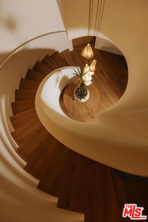 3858 Buena Park Drive Property Photo 6