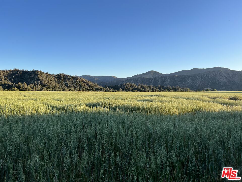 29433 Highway 33 Property Photo 41