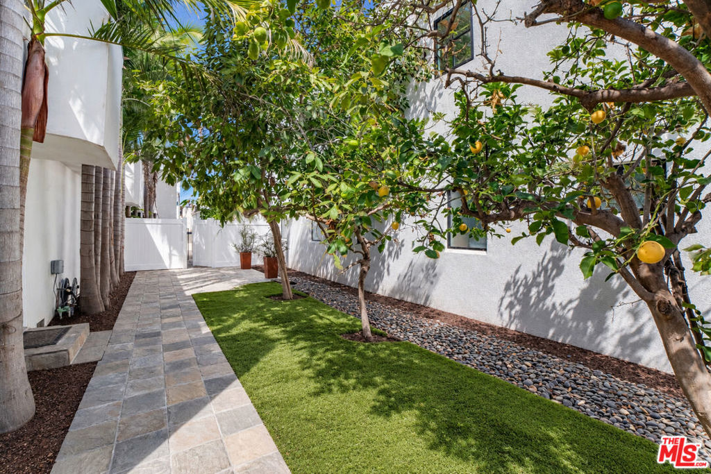 137 Arena Street Property Photo 21