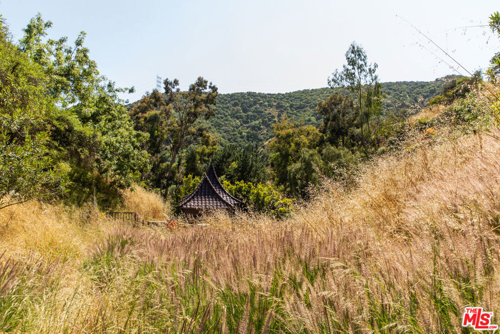 3626 Mandeville Canyon Road Property Photo 43