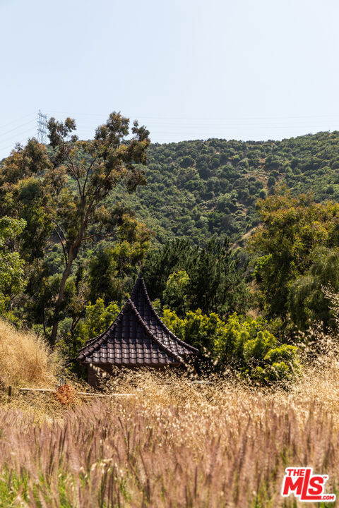 3626 Mandeville Canyon Road Property Photo 44