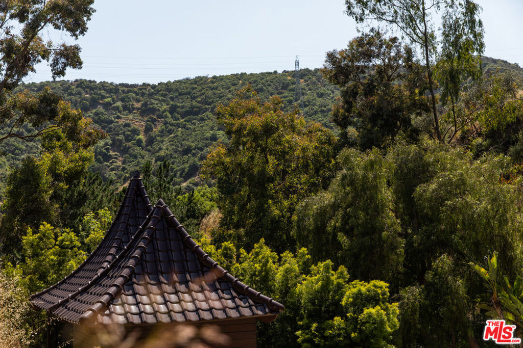 3626 Mandeville Canyon Road Property Photo 45