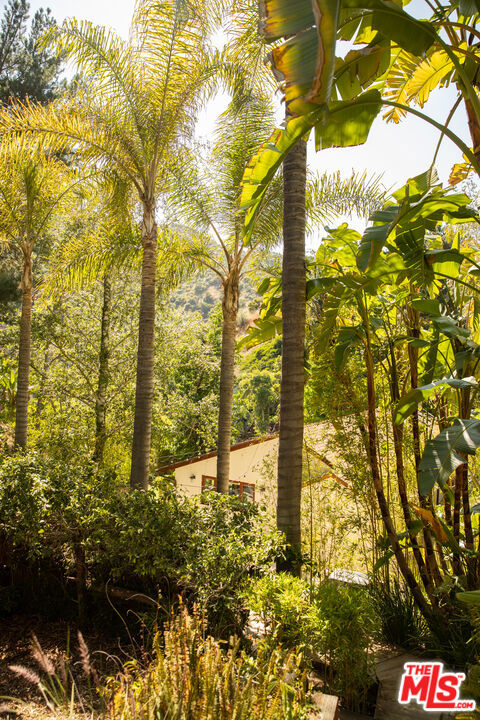 3626 Mandeville Canyon Road Property Photo 57