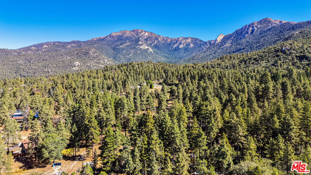 27720 Saunders Meadow Road Property Photo 47