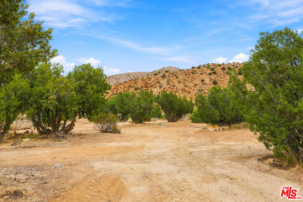 29310 Devils Punch Bowl Road Property Photo 15