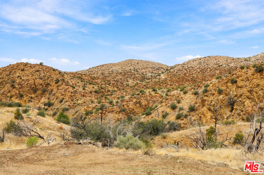 29310 Devils Punch Bowl Road Property Photo 17