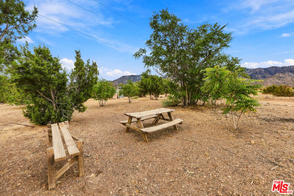 29310 Devils Punch Bowl Road Property Photo 18