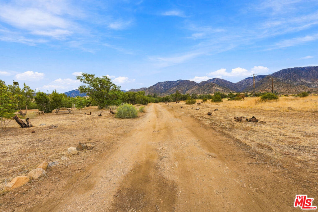 29310 Devils Punch Bowl Road Property Photo 19