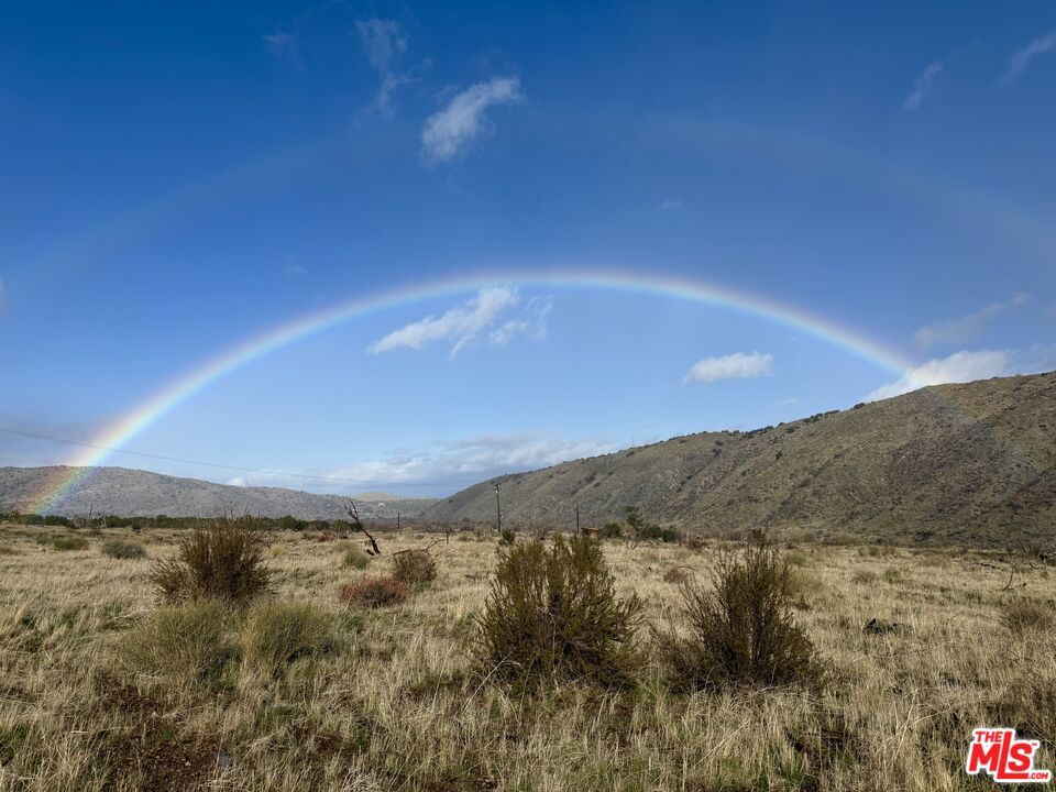 29310 Devils Punch Bowl Road Property Photo 28