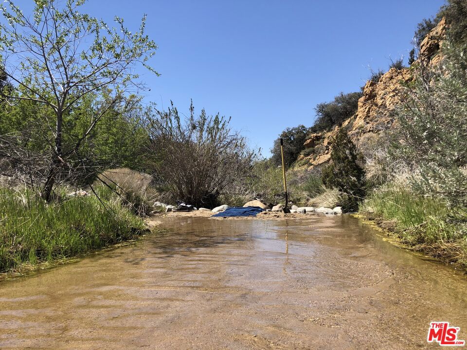 29310 Devils Punch Bowl Road Property Photo 29