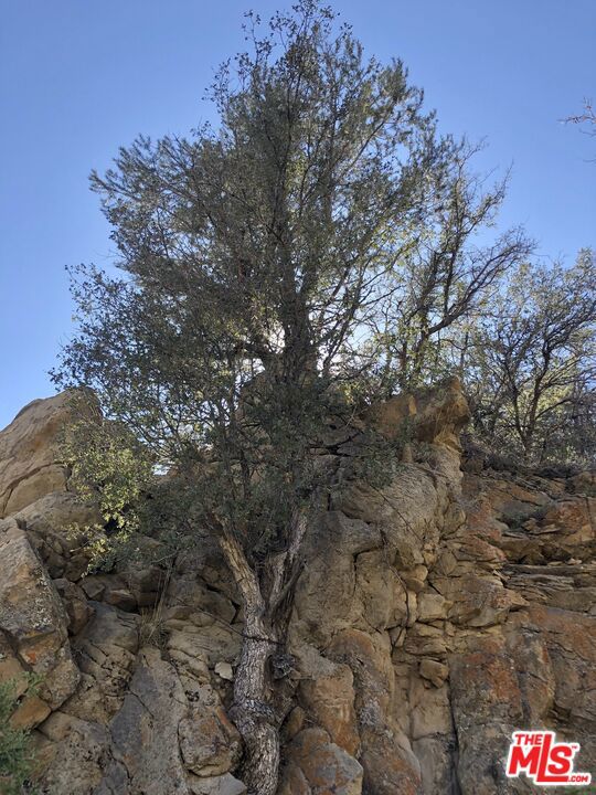 29310 Devils Punch Bowl Road Property Photo 30
