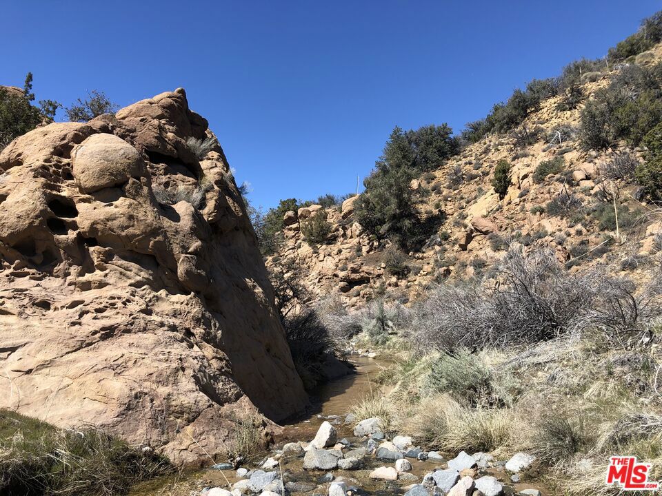 29310 Devils Punch Bowl Road Property Photo 31