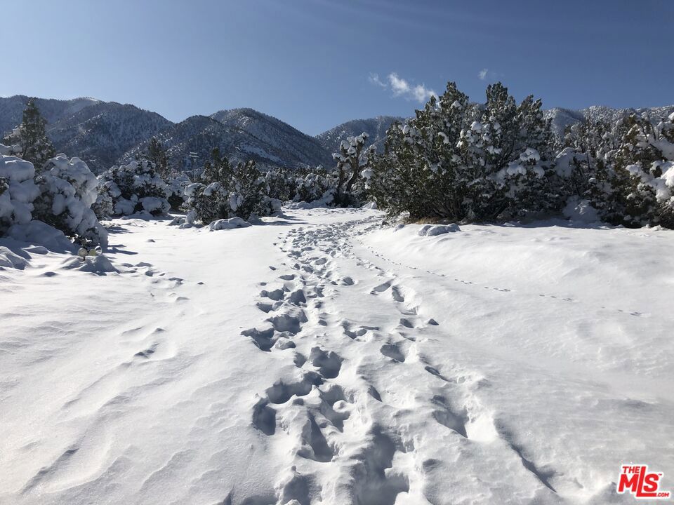 29310 Devils Punch Bowl Road Property Photo 37