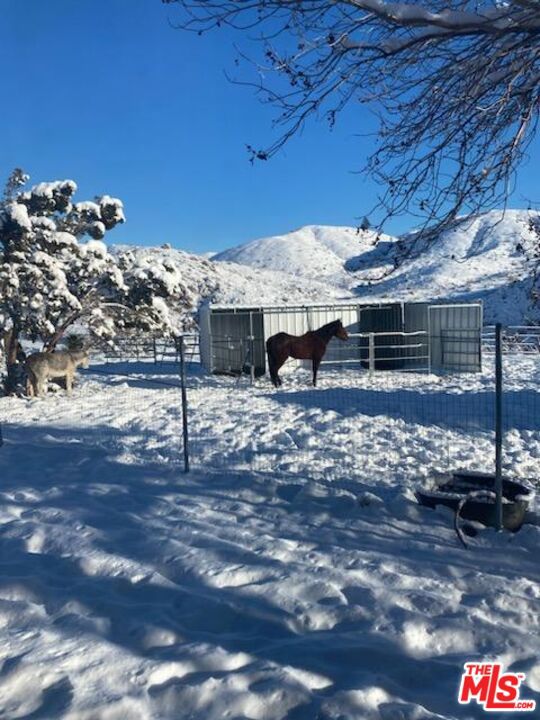 29310 Devils Punch Bowl Road Property Photo 40