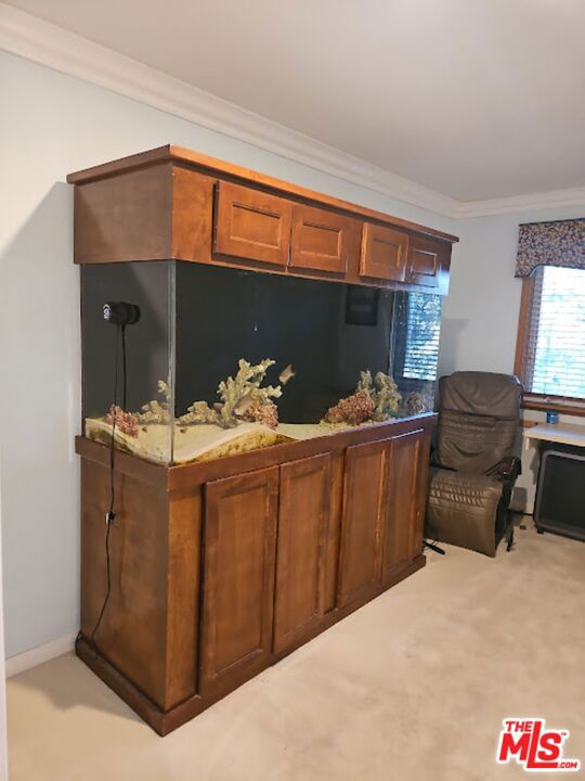 361 Redtail Hawk Lane Property Photo 36
