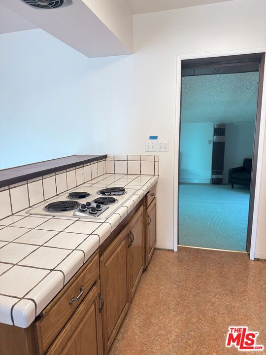 10517 Vail Drive Property Photo 15